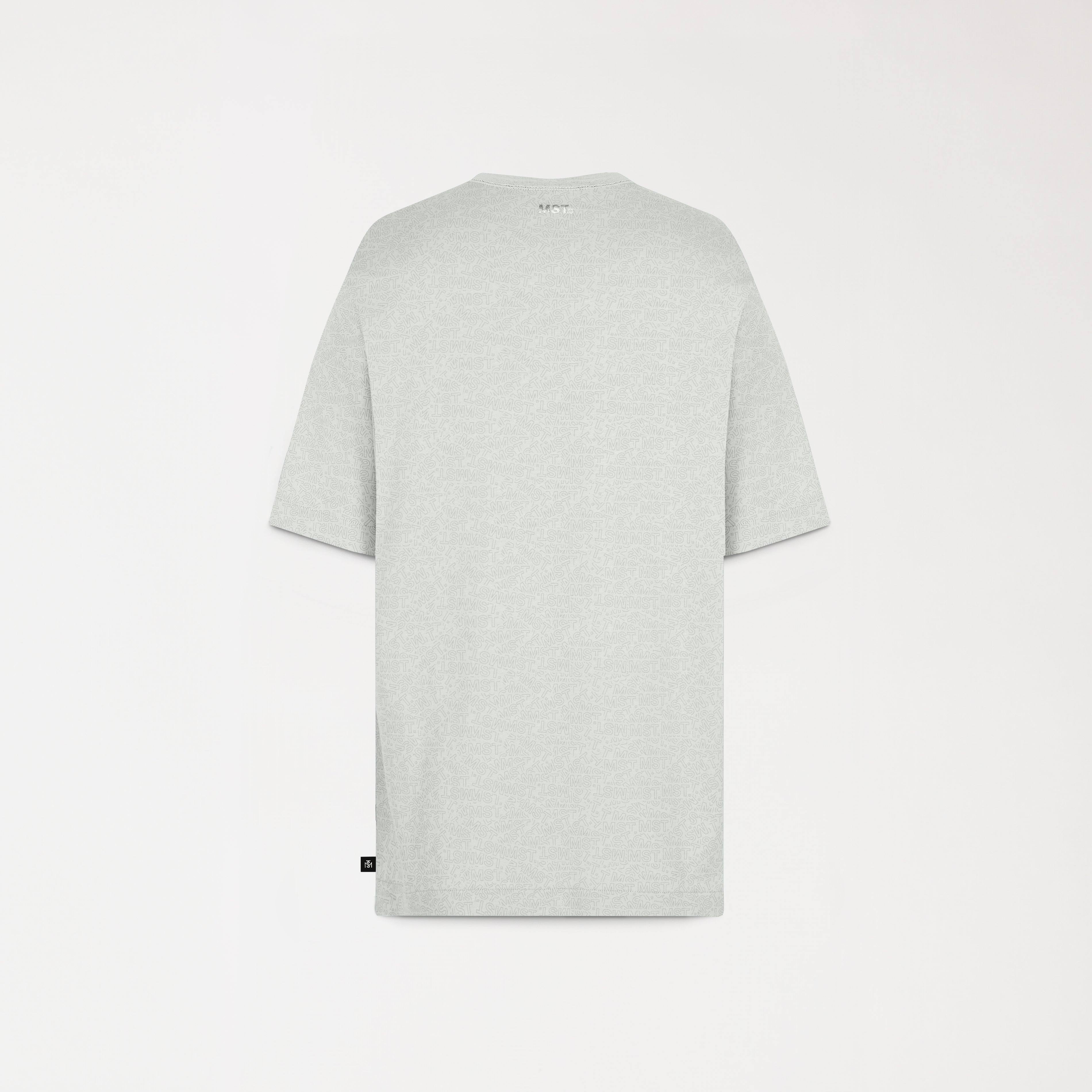 WINDCHESTER T-SHIRT OVERSIZED MEN MINERAL GRAY - Monastery